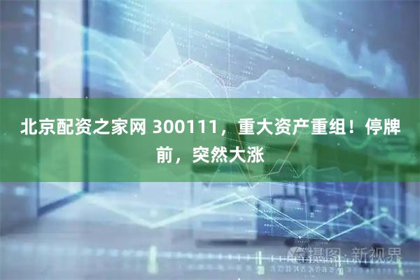 北京配资之家网 300111，重大资产重组！停牌前，突然大涨