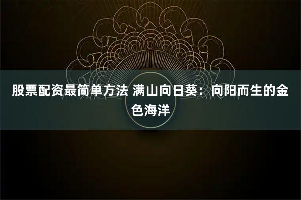 股票配资最简单方法 满山向日葵：向阳而生的金色海洋